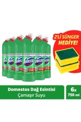 Domestos Çamaşır Suyu Dağ Esintisi 750 ml X 6 Sünger 1 Adet