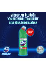 Domestos Çamaşır Suyu Dağ Esintisi 750 ml X 6 Sünger 1 Adet