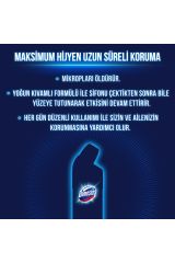 Domestos Çamaşır Suyu Dağ Esintisi 750 ml X 6 Sünger 1 Adet