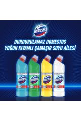 Domestos Çamaşır Suyu Dağ Esintisi 750 ml X 6 Sünger 1 Adet