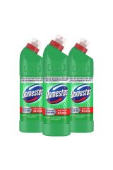Domestos Çamaşır Suyu Yoğun Kıvamlı Maksimum Hijyen Dağ Esintisi 750 ml 3 Adet