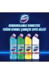 Domestos Çamaşır Suyu Yoğun Kıvamlı Maksimum Hijyen Dağ Esintisi 750 ml 3 Adet