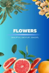 Quu Plus Space Geni̇ş Alan Flowers Koku Kartuşu