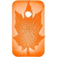Sihirli Koku Yaprağı Mango